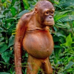 Meet your Posher, Darrion